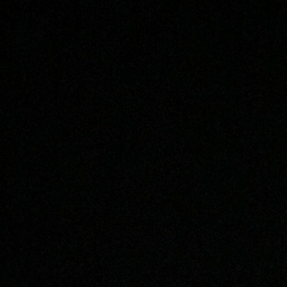 Meet your Posher, Riley - Picture 1 of 1